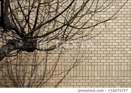 The shadow of a tree cast on a brick tile wall 138874357