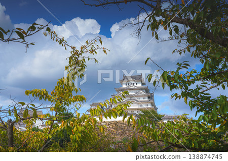 Himeji, Japan - Sep 24 2024, panoramic view of Himeji Castle, White Heron Castle from below, through tree foliage in daytime with blue sky and clouds, without people, Himeji, Japan 138874745