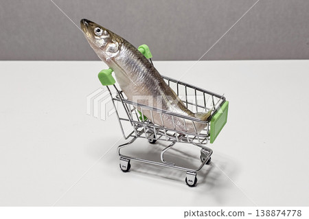 Fresh smelt rests in miniature shopping cart Fresh smelt rests in miniature shopping cart 138874778
