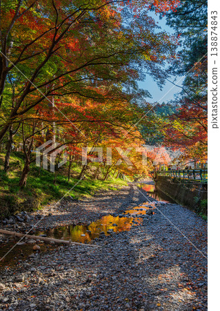 靜岡縣遠富國一宮市小國神社的秋葉 靜岡縣遠富國一宮市小國神社的秋葉 138874843