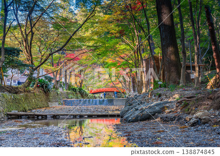 靜岡縣遠富國一宮市小國神社的秋葉 138874845