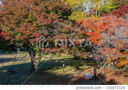 Autumn foliage scenery at Tobayama Park in Hamamatsu City (Shizuoka Prefecture) Autumn foliage scenery at Tobayama Park in Hamamatsu City (Shizuoka Prefecture) 138875328