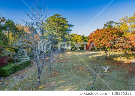 靜岡縣濱松市戶葉山公園的秋葉景色 靜岡縣濱松市戶葉山公園的秋葉景色 138875331