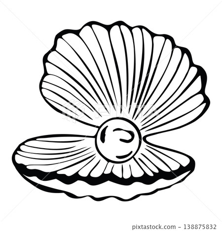 Hand-drawn vector pearl in an open shell. Vector image of a seashell. Black and white sketches of a seascape, isolated on a white background, for summer design. 138875832