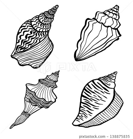 Set of hand-drawn vector illustrations depicting various seashells. Black and white marine sketches isolated on a white background. Perfect for beach-themed summer designs and nautical decor Set of hand-drawn vector illustrations depicting various seashells. Black and white marine sketches isolated on a white background. Perfect for beach-themed summer designs and nautical decor 138875835
