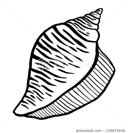 Vector hand-drawn illustration of a seashell. Seashell vector. Black and white marine sketch, isolated on a white background, perfect for a logo or decorative print. 138875836