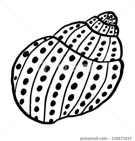 Vector hand-drawn illustration of a seashell. Seashell vector. Black and white marine sketch, isolated on a white background, perfect for a logo or decorative print. 138875837