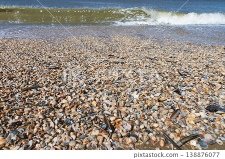 Seashell beach with waves and sea in The Hague Netherlands Seashell beach with waves and sea in The Hague Netherlands 138876077