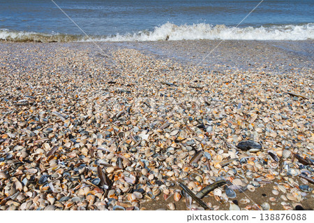 Seashell beach with waves and sea in The Hague Netherlands Seashell beach with waves and sea in The Hague Netherlands 138876088