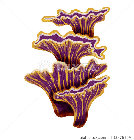 Watercolor illustration of seaweed. Underwater plant. Bright illustrations, suitable for cheerful summer designs, sea travel, textiles, summer and children's clothing. Print for children's. Watercolor illustration of seaweed. Underwater plant. Bright illustrations, suitable for cheerful summer designs, sea travel, textiles, summer and children's clothing. Print for children's. 138876109