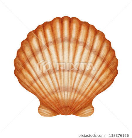 Watercolor illustration with a marine theme, featuring various shells, a spiral scallop shell, an open shell with a pearl. Children's, nautical, travel themes. Suitable for design, prints, postcards Watercolor illustration with a marine theme, featuring various shells, a spiral scallop shell, an open shell with a pearl. Children's, nautical, travel themes. Suitable for design, prints, postcards 138876126