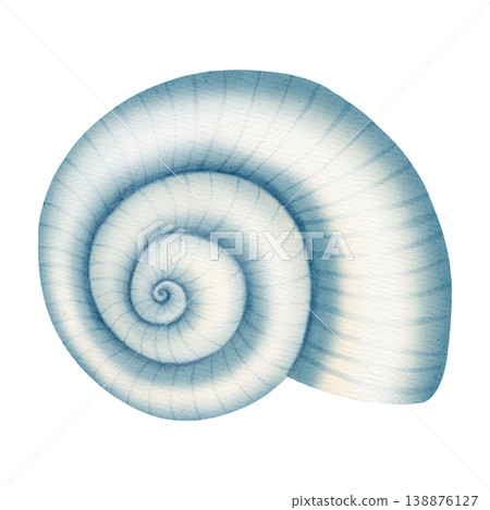 Watercolor illustration with a marine theme, featuring various shells, a spiral scallop shell, an open shell with a pearl. Children's, nautical, travel themes. Suitable for design, prints, postcards 138876127
