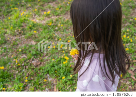 The back view of a girl picking dandelions 138876263