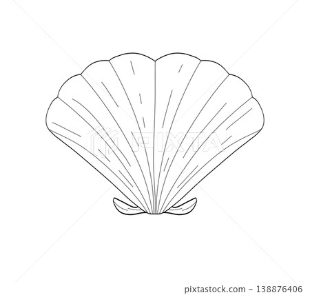 Hand drawn scallop seashell line art illustration on a transparent background Hand drawn scallop seashell line art illustration on a transparent background 138876406