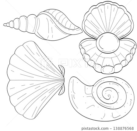 Elegant hand drawn seashell line art set with pearl oyster and fan shell on a transparent background 138876568