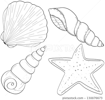Sea shell line art collection featuring scallop auger snail and starfish on a transparent background Sea shell line art collection featuring scallop auger snail and starfish on a transparent background 138876673
