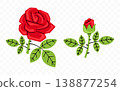 Red rose, flower, bloom and blossom, graphic design. Floral, blooming, plant, nature and garden, vector design and illustration 138877254