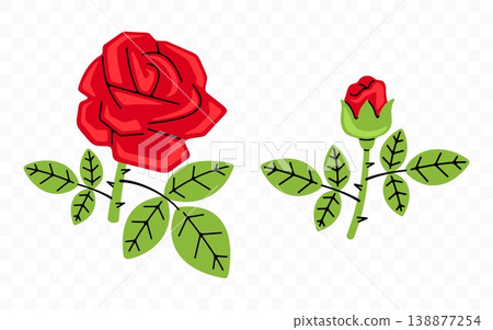 Red rose, flower, bloom and blossom, graphic design. Floral, blooming, plant, nature and garden, vector design and illustration 138877254