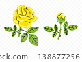 Yellow rose, flower, bloom and blossom, graphic design. Floral, blooming, plant, nature and garden, vector design and illustration 138877256
