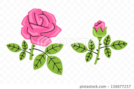 Pink rose, flower, bloom and blossom, graphic design. Floral, blooming, plant, nature and garden, vector design and illustration Pink rose, flower, bloom and blossom, graphic design. Floral, blooming, plant, nature and garden, vector design and illustration 138877257