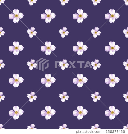 Seamless watercolor pattern with small white flowers on a dark purple background. 138877430
