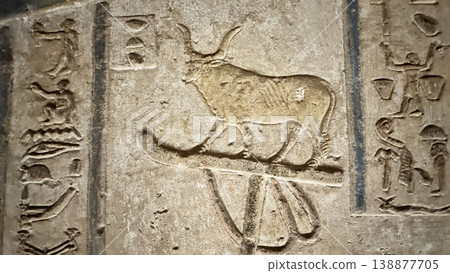 Beautiful bas-reliefs and ancient hieroglyphs from the Dendera Temple Complex, Qena, Egypt Beautiful bas-reliefs and ancient hieroglyphs from the Dendera Temple Complex, Qena, Egypt 138877705