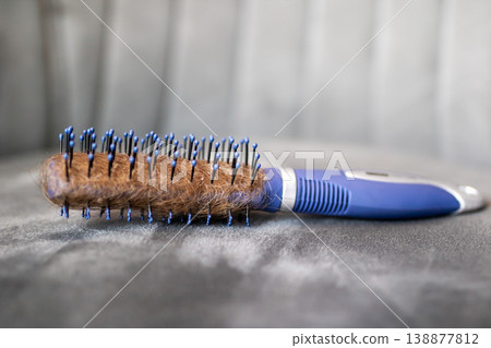 Closeup of Grooming Tool. Photograph Depicting Grooming Brush on Surface with Details Closeup of Grooming Tool. Photograph Depicting Grooming Brush on Surface with Details 138877812