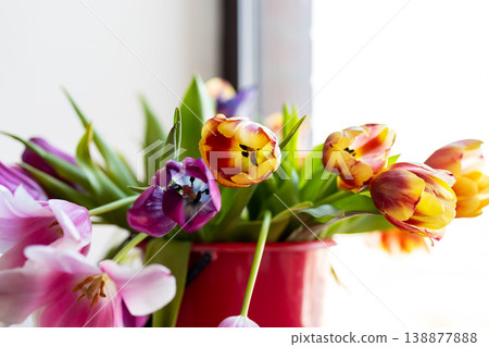 Colorful tulip arrangement indoors. Cheerful tulip bouquet with warm morning sunlight ambiance 138877888