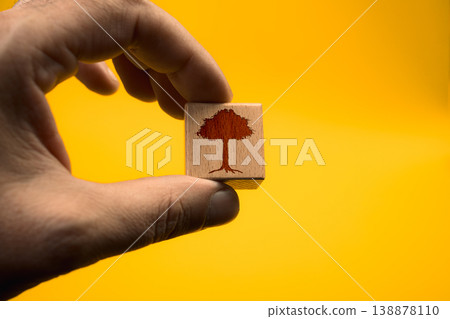 A hand holding a wooden block with a tree on it 138878110