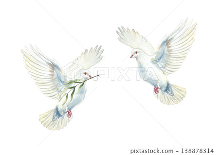 Two flying white doves. Symbol of purity, hope and faith. Hand drawn watercolor illustration, isolated. Suitable for designing cards and invitations for First Communion, Baptism and Easter. 138878314