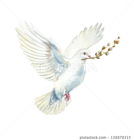 White flying dove with a willow branch in its beak. Hand drawn watercolor religious illustration isolated for card and invitation design for Easter, Palm Sunday, First Communion and Baptism. 138878315