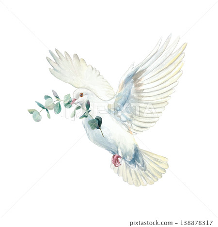 Flying white dove with a green eucalyptus branch in its beak. Hand drawn watercolor illustration, isolated. Suitable for designing cards and invitations for first communions, baptisms and weddings. Flying white dove with a green eucalyptus branch in its beak. Hand drawn watercolor illustration, isolated. Suitable for designing cards and invitations for first communions, baptisms and weddings. 138878317