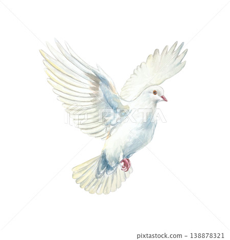 Flying white dove. Symbol of purity, hope and faith. Hand drawn watercolor illustration of the bird, isolated. Suitable for designing cards and invitations for First Communion, Baptism and Easter. 138878321