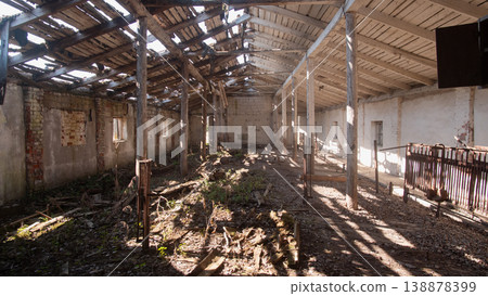 Sunlit Warehouse Interior With Overgrown Floor, Broken Roof Skylights Casting Beams Across Mossy Rubble, Sunlit Warehouse Interior With Overgrown Floor, Broken Roof Skylights Casting Beams Across Mossy Rubble, 138878399