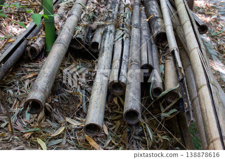Pile of Dry Bamboo Stalks on Ground 138878616