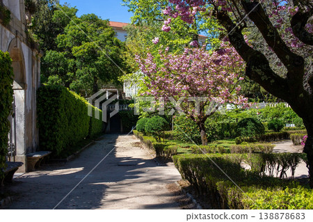 Serene garden path, pink blossoms, green hedges, spring sunlight, peaceful nature scene Serene garden path, pink blossoms, green hedges, spring sunlight, peaceful nature scene 138878683