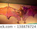 Taxidermy Bat Specimen with Spread Wings 138878724