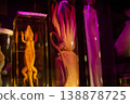 Preserved Lizard and Squid Specimens in Jars with Purple Light 138878725