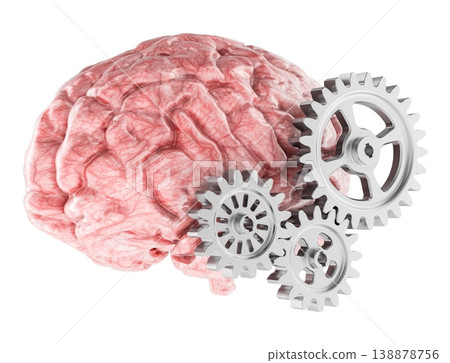 Human brain with metal gears, thinking and cognition concept. 3D rendering Human brain with metal gears, thinking and cognition concept. 3D rendering 138878756