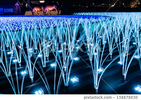 Illuminations ~Tokyo Ohi Racecourse Tokyo Mega Illumination 9~ 138878830
