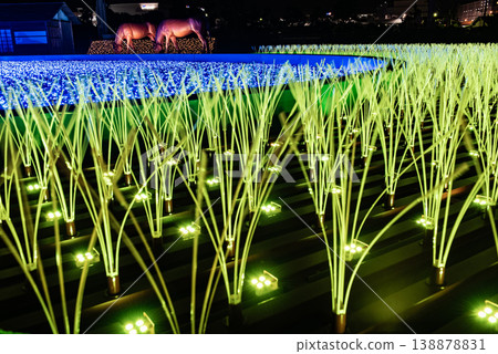 Illuminations ~Tokyo Ohi Racecourse Tokyo Mega Illumination 10~ 138878831