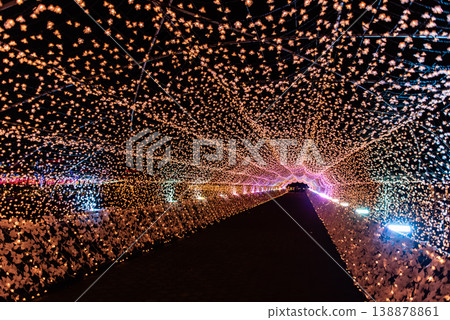 Illuminations ~Tokyo Ohi Racecourse Tokyo Mega Illumination 40~ Illuminations ~Tokyo Ohi Racecourse Tokyo Mega Illumination 40~ 138878861