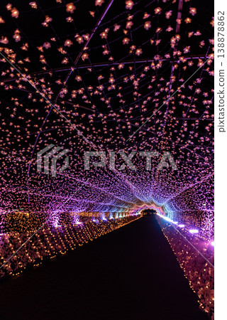Illuminations ~Tokyo Ohi Racecourse Tokyo Mega Illumination 41~ Illuminations ~Tokyo Ohi Racecourse Tokyo Mega Illumination 41~ 138878862