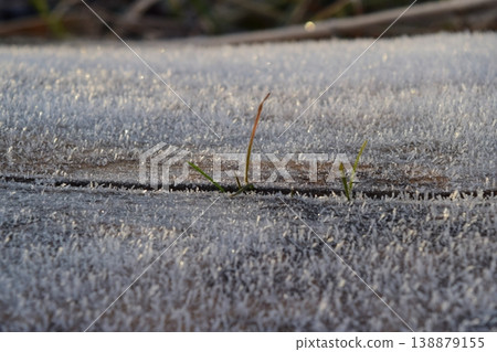 Hoarfrost on tree trunk surface Hoarfrost on tree trunk surface 138879155
