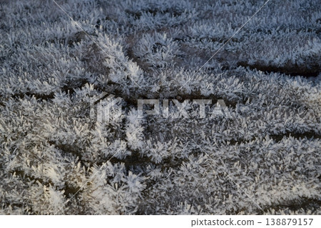 Hoarfrost on tree trunk surface Hoarfrost on tree trunk surface 138879157