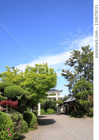 滋賀縣草津市:三大著名紫藤觀賞地及神社:草社及志那神社 滋賀縣草津市:三大著名紫藤觀賞地及神社:草社及志那神社 138879231