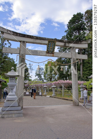滋賀縣草津市:三大著名紫藤觀賞地及神社:草社及志那神社 滋賀縣草津市:三大著名紫藤觀賞地及神社:草社及志那神社 138879297