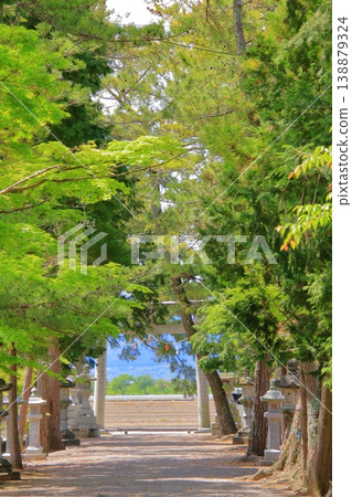 滋賀縣草津市:三大著名紫藤觀賞地及神社:草社及志那神社 滋賀縣草津市:三大著名紫藤觀賞地及神社:草社及志那神社 138879324