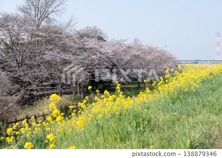 春日的仁通公園 <千葉縣流山市> 138879346