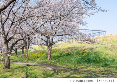 春日的仁通公園 <千葉縣流山市> 春日的仁通公園 <千葉縣流山市> 138879351